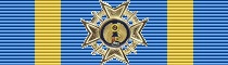 Legion al Merito Aeronautico 1ra. Clase