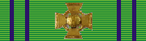 Cruz de la Fuerza Aerea 1ra. Clase