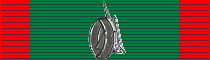 Medalla al Ingenio